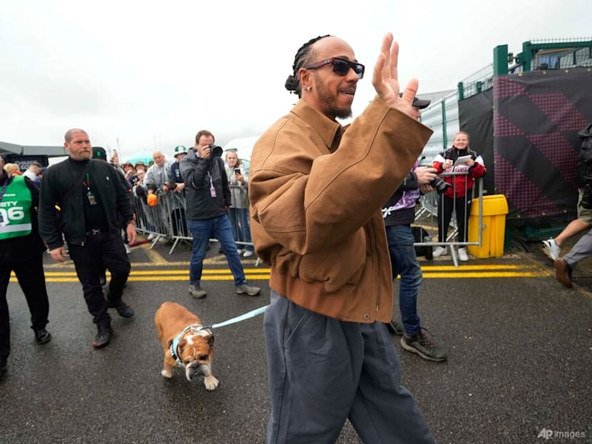 Lewis Hamilton says the death of his dog Roscoe is 'one of the most painful experiences'