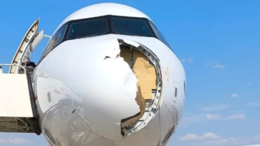 Bird strike damages nose of Iberia plane, forces emergency landing Bird strike damages nose of Iberia plane, forces emergency landing