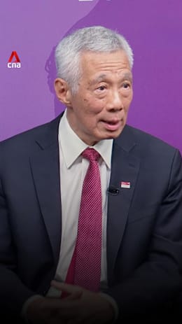 'You must decide where your red line is': SM Lee on facing pressure from other countries 'You must decide where your red line is': SM Lee on facing pressure from other countries