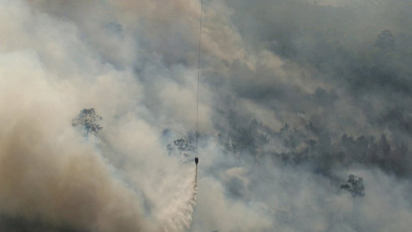 Not all business efforts at conservation are greenwashing, says expert