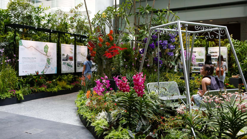 Proposal for section of Orchard Road to have lush greenery, sheltered escalators and garden playgrounds