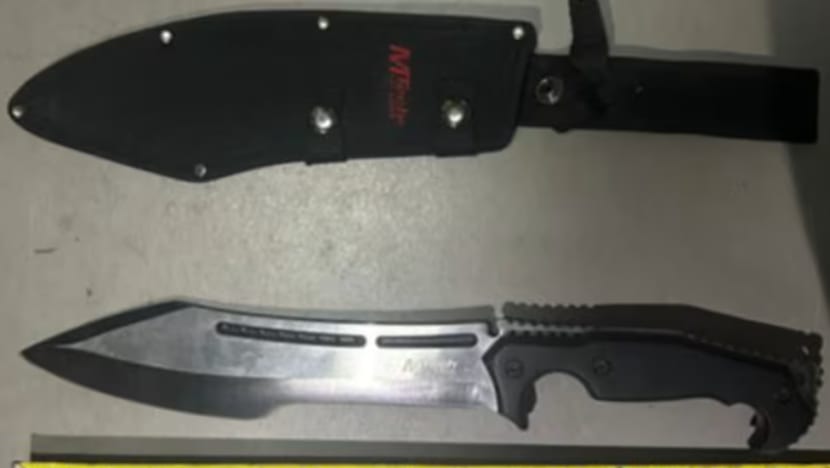 Drugs thrown out of building, 19-year-old with knife charges at CNB officer during raids