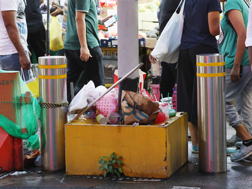 Govt mulls publicising litterbugs' photos to identify them as part of 'targeted' response to rise in cases