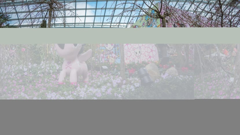 Tokidoki-Themed Sakura Display At Gardens By The Bay From Mar 5 — Free Entry For Orange & Blue CHAS Card Holders For A Limited Time