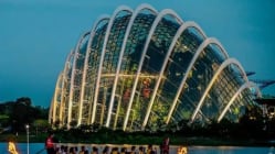 Related article image