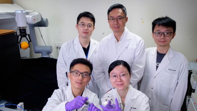 南大科研人员研发柔性电子材料 能广泛用于健康保健领域