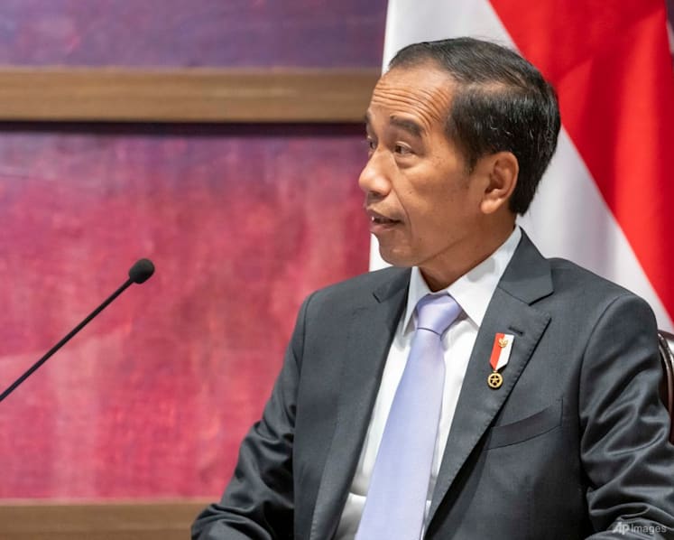 Indonesia President Joko Widodo in ‘tough spot’ to unite G20 leaders: Analysts