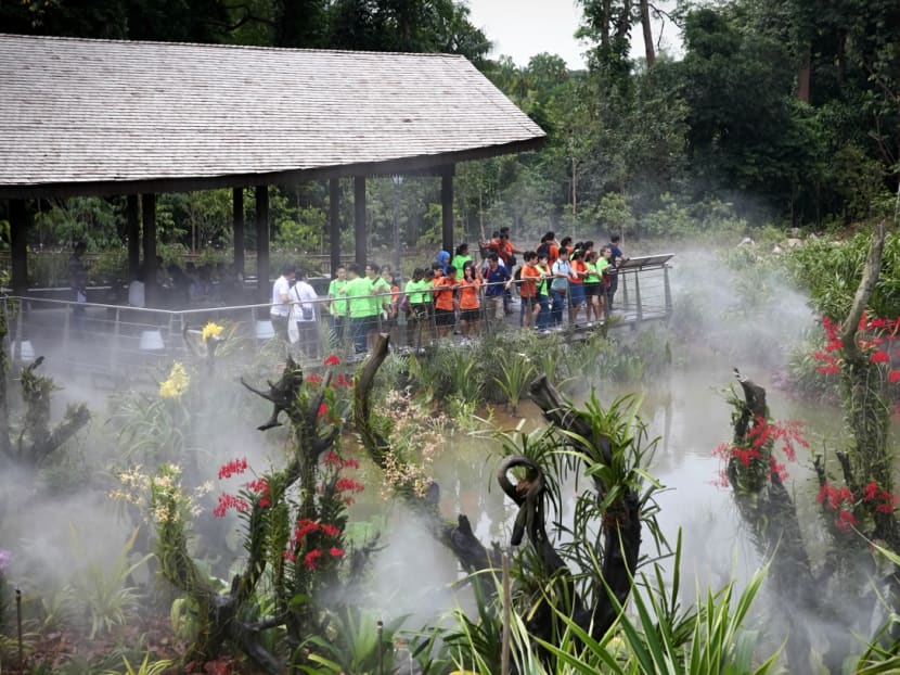 Century-old forest at Botanic Gardens opens