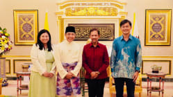 Related article image