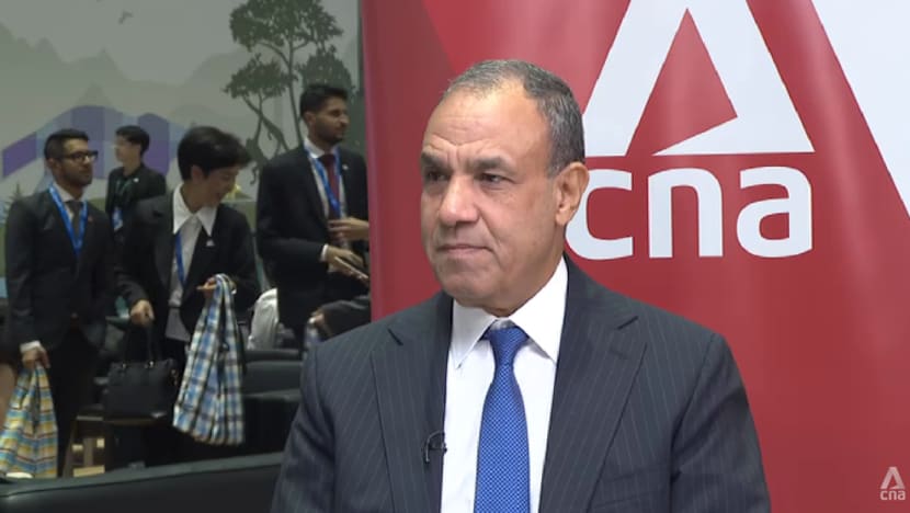 Egyptian foreign minister urges diplomacy, says ‘no military solution’ to Middle East conflict