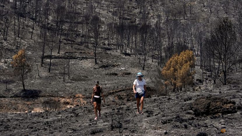 Five Britons among foreign Spanish wildfire victims