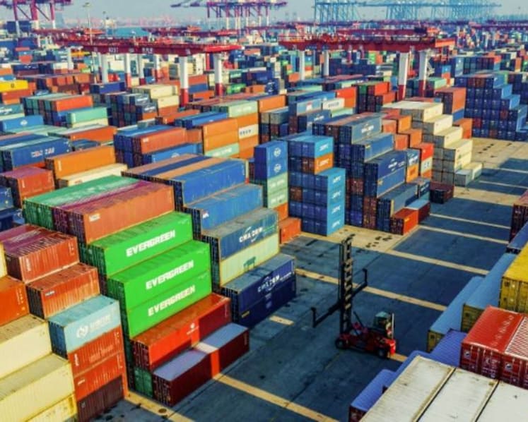 Commentary: COVID-19 has increased protectionism and hypernationalism in global economy