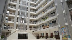 Related article image