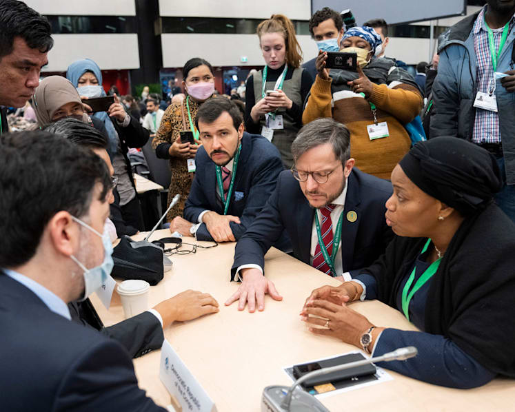 'We could do better': Experts 'guardedly optimistic' about historic COP15 deal