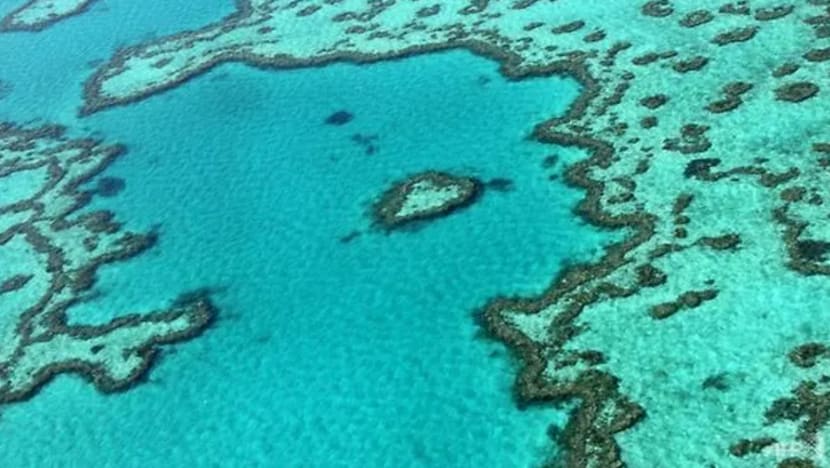 Agensi pengurusan Great Barrier Reef seru tindakan tegas Australia terhadap perubahan iklim
