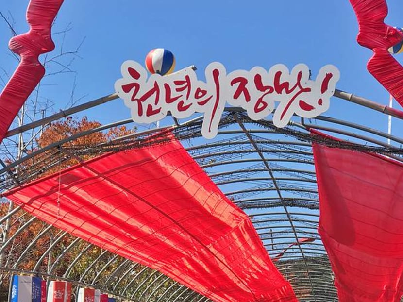 We Visited Korea's Farming Region And It's More Happening Than We Imagined