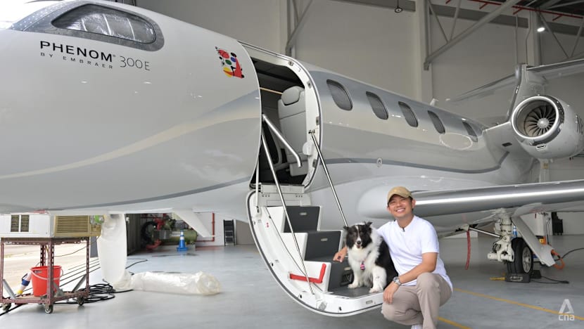 Luxury or necessity? Pet owners pay tens of thousands to fly on Singapore's first airline for animals