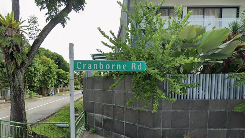 Worker, 38, dies after tree-felling accident in Katong