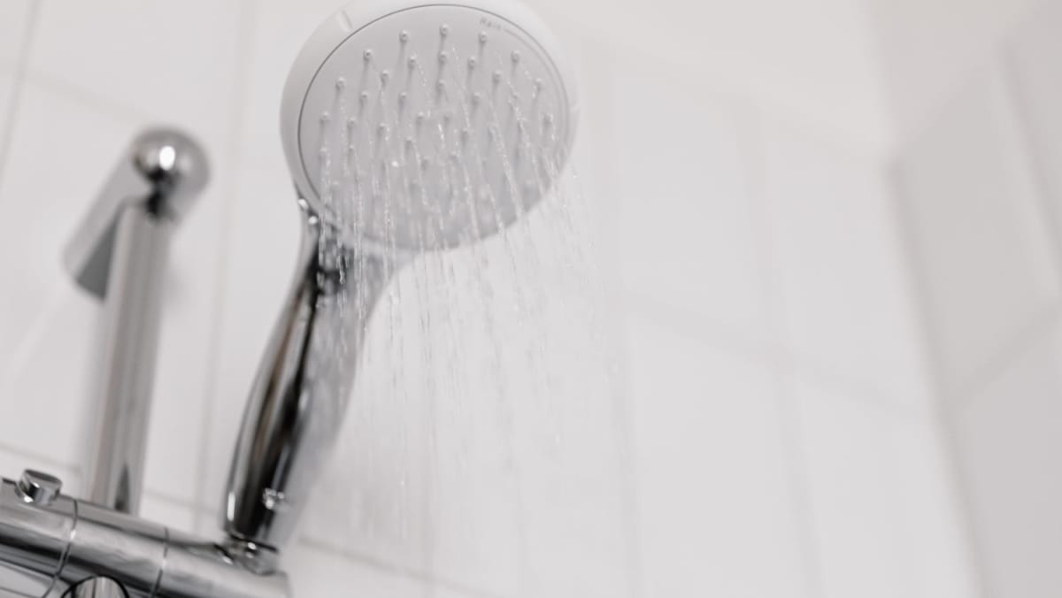 Man, 20, gets probation after twice trying to film older sister showering