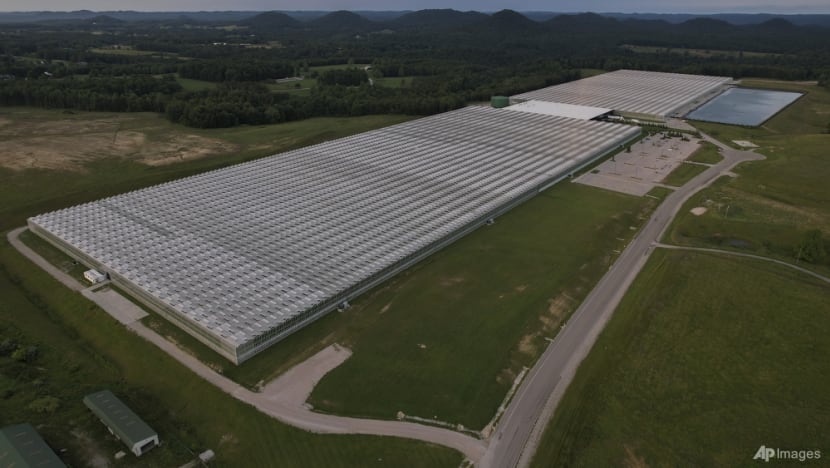 The “greenhouse effect”: How an oft-touted climate solution threatens US agricultural workers The “greenhouse effect”: How an oft-touted climate solution threatens US agricultural workers