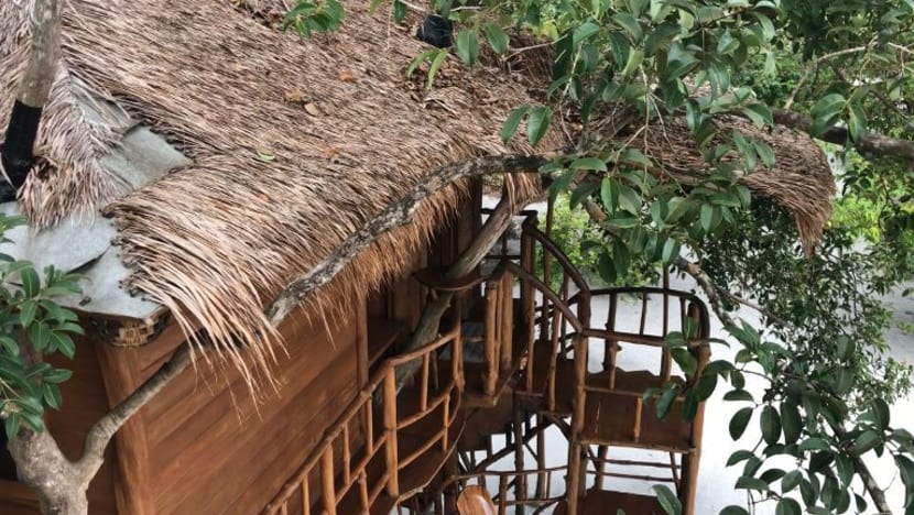 Related article image