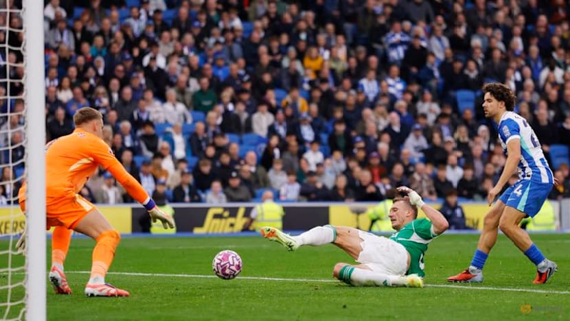 Welbeck brace gives Brighton 2-1 win over Newcastle