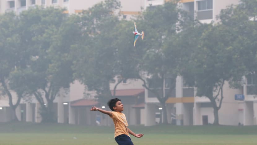 ASEAN haze meeting ends on ‘disappointing, bewildering’ note