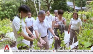 Series of gardening events open to public as movement marks 20 years