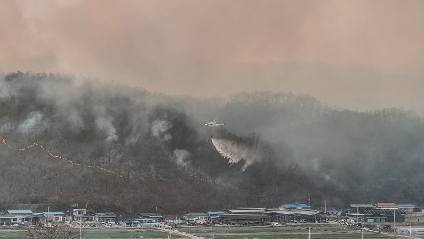 4 maut dalam kebakaran hutan di Korea Selatan