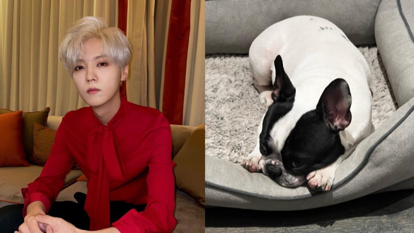 Lu Han Posts Pic Of His Dog After Clip Of Him Allegedly Drunk Goes Viral; Netizens Think He's Targeting The Paparazzi Lu Han Posts Pic Of His Dog After Clip Of Him Allegedly Drunk Goes Viral; Netizens Think He's Targeting The Paparazzi