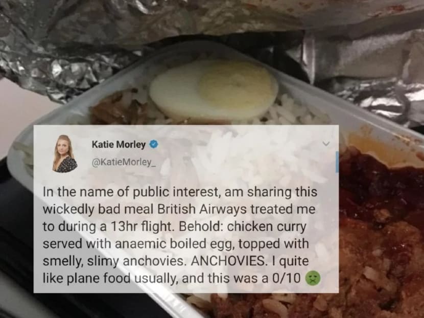 Ms Katie Morley, who was on a British Airways flight, shared a photo of what she was served on board the aircraft and expressed her disgust with the dish.