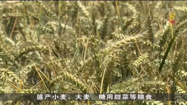 法国遭遇历来最严重干旱天气 欧洲粮食危机料持续