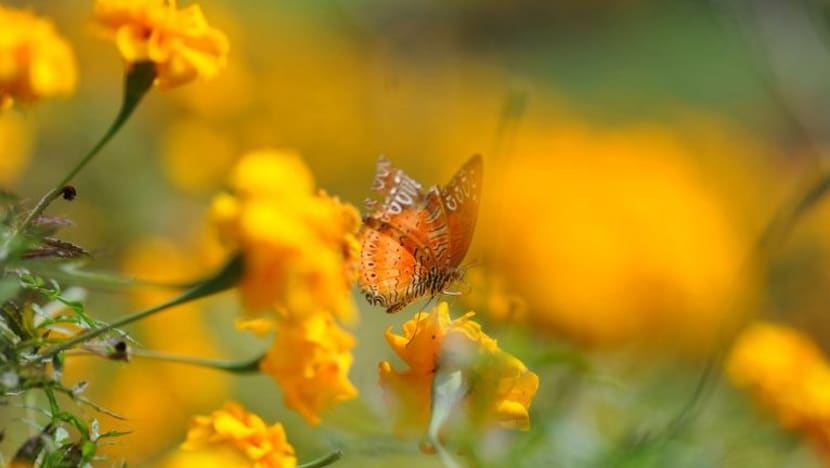 Related article image