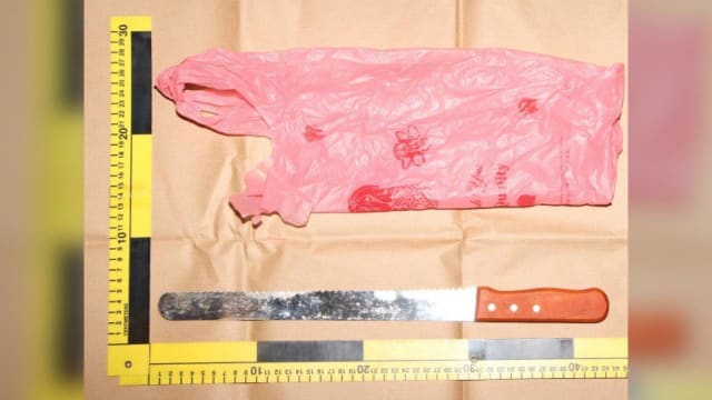 涉及乌节路持致命性武器闹事案件 八男将被控