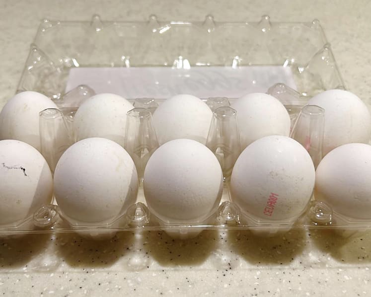 Singapore recalls eggs imported from Ukrainian farm due to presence of salmonella bacteria