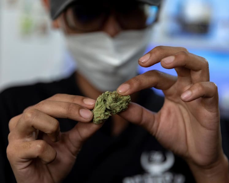 71% more cannabis users arrested in 2022, over half aged under 30 and some just 14: CNB