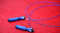 Related article image