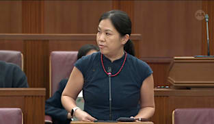 He Ting Ru seeks clarification from Tin Pei Ling