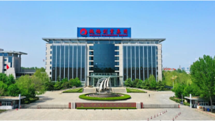 Shared Revitalization Journey of Weiqiao Pioneering Group, Weiqiao Town