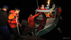 Related article image