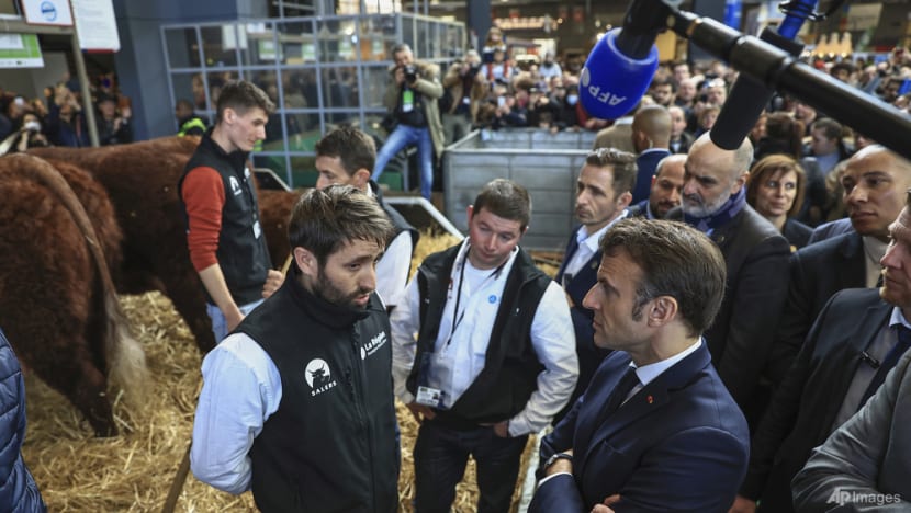 Macron defends contested pension plan at French farm fair