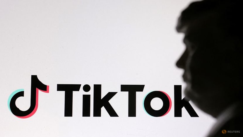 TikTok's journey from global sensation to Trump target