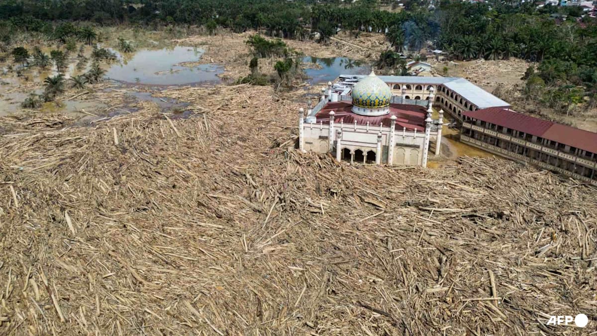 Indonesia to revoke 22 forestry permits after deadly floods Indonesia to revoke 22 forestry permits after deadly floods
