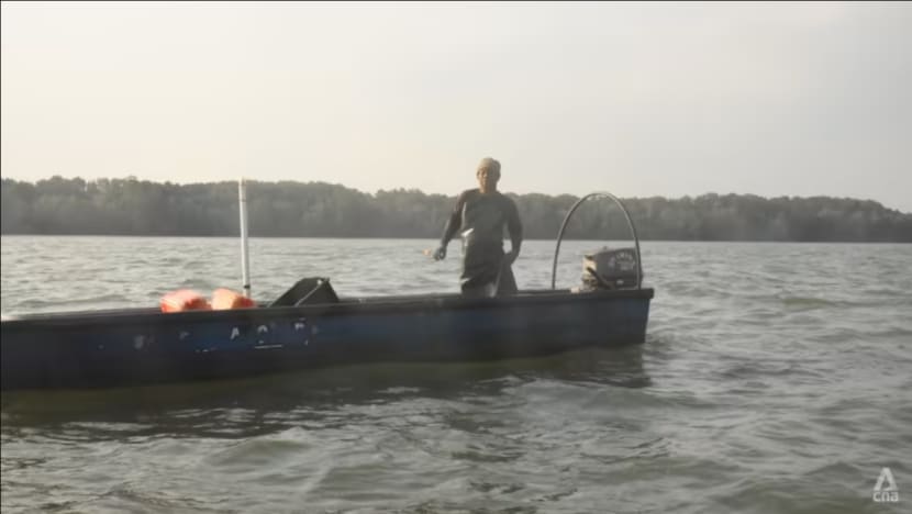 Related article image