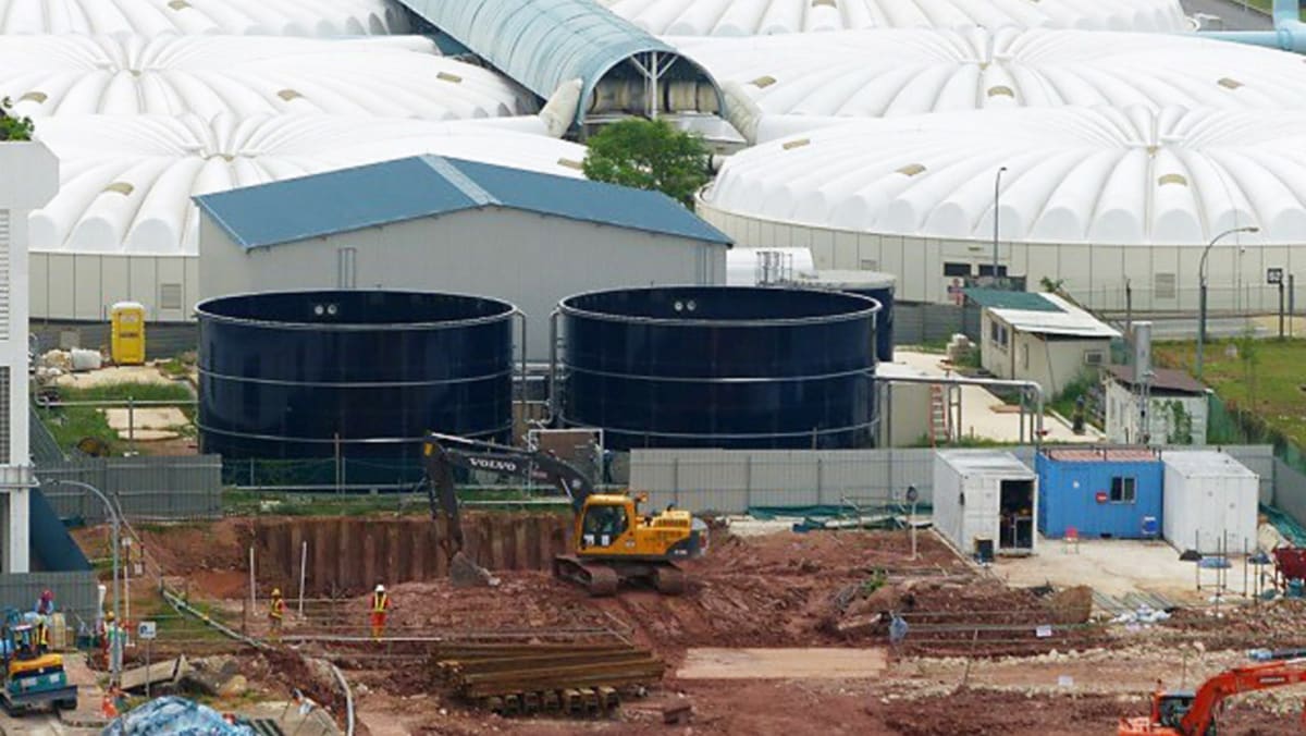 PUB’s co-digestion plant now processing 3 tonnes of food waste daily - CNA