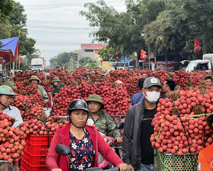 Sales, prices of Vietnam harvests like lychee increase following China’s reopening