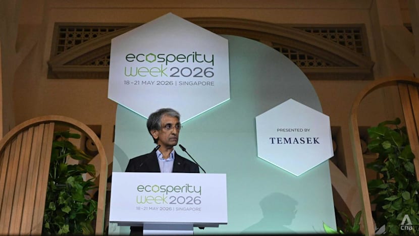 Temasek 'unlikely' to meet 2030 climate target amid tougher global landscape: CEO Dilhan Pillay