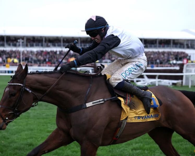 Horse racing-Unhappy Mullins threatens to stop bringing best horses to Cheltenham