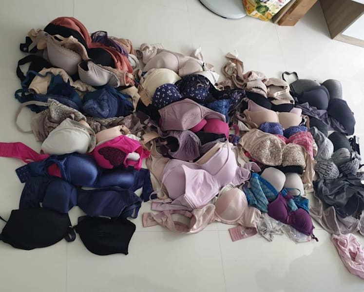 Man arrested for allegedly stealing undergarments, more than 60 found in his possession: Police