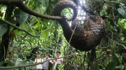 Related article image